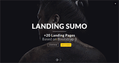 Desktop Screenshot of landingsumo.com